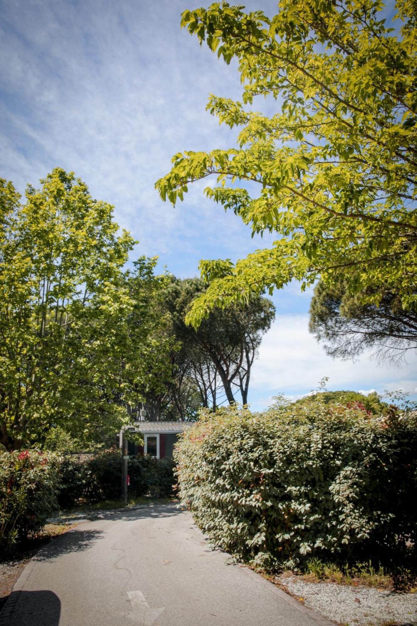 Domaine de Verdagne Gassin Exterior foto