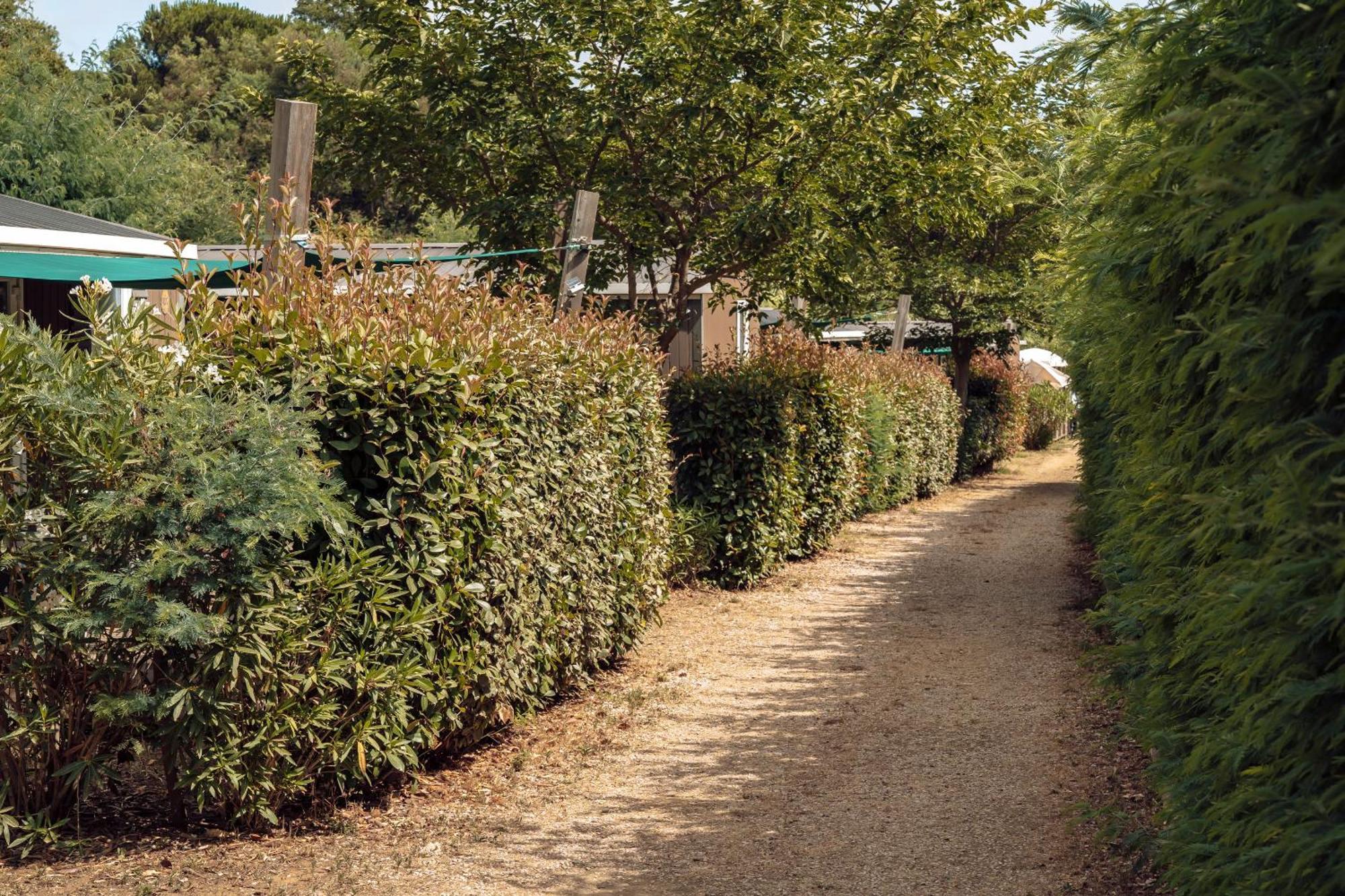 Domaine de Verdagne Gassin Exterior foto